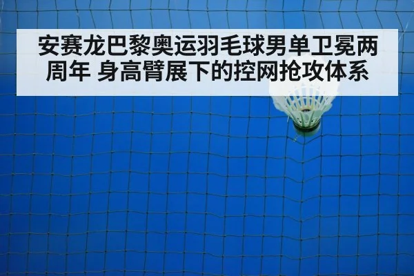 badminton net shot
