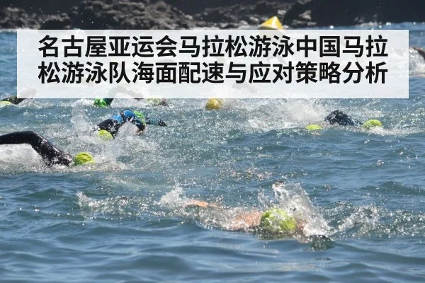 名古屋亚运会马拉松游泳中国马拉松游泳队海面配速与应对策略分析
